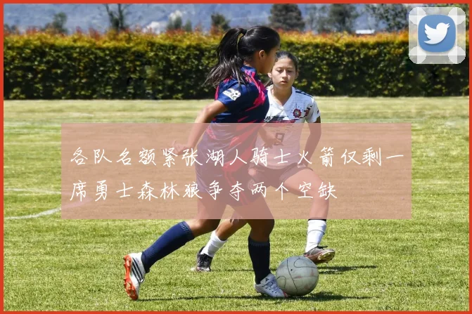 各队名额紧张湖人骑士火箭仅剩一席勇士森林狼争夺两个空缺