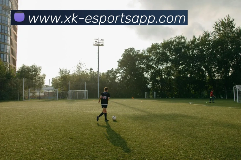 星空电竞平台生态图